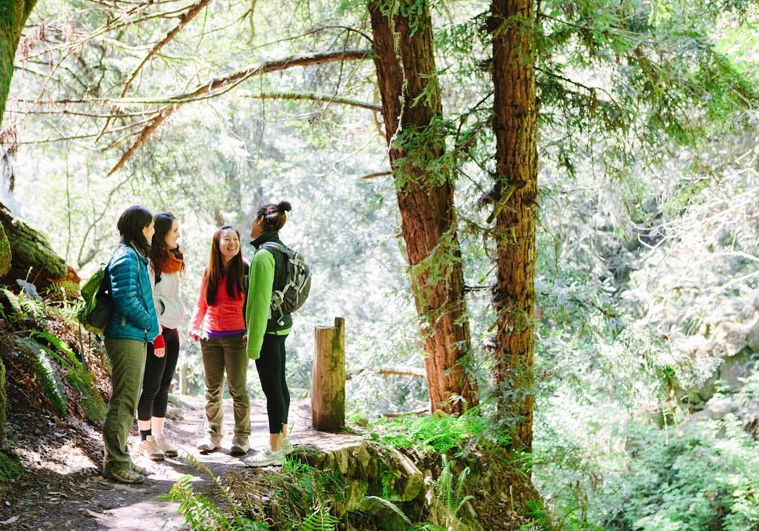 The Best Casual Hiking Clubs in the Bay Area - 1*pDOletxMxMrQsIcJvFrQKg