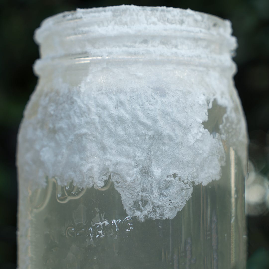 crystals experiment with salt