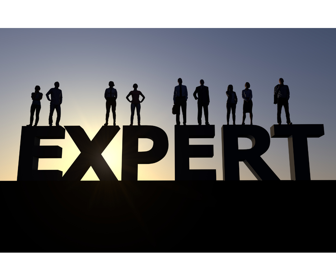 Three areas that make you an expert - Speaker Insight