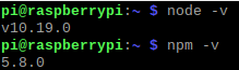 Tells me what version of nodejs (v10.19.0) and npm (5.8.0) I have.