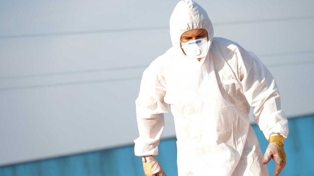 Great Process Of Asbestos Removal Now Simple Asbestos Removal
