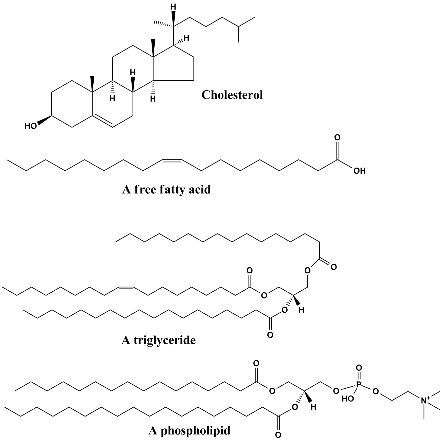 Chemistry of lipids