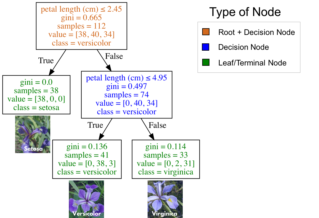 decision tree iris