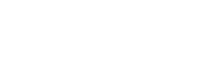 bigfishdigital