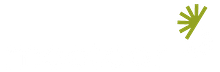 Insights from Meeteor