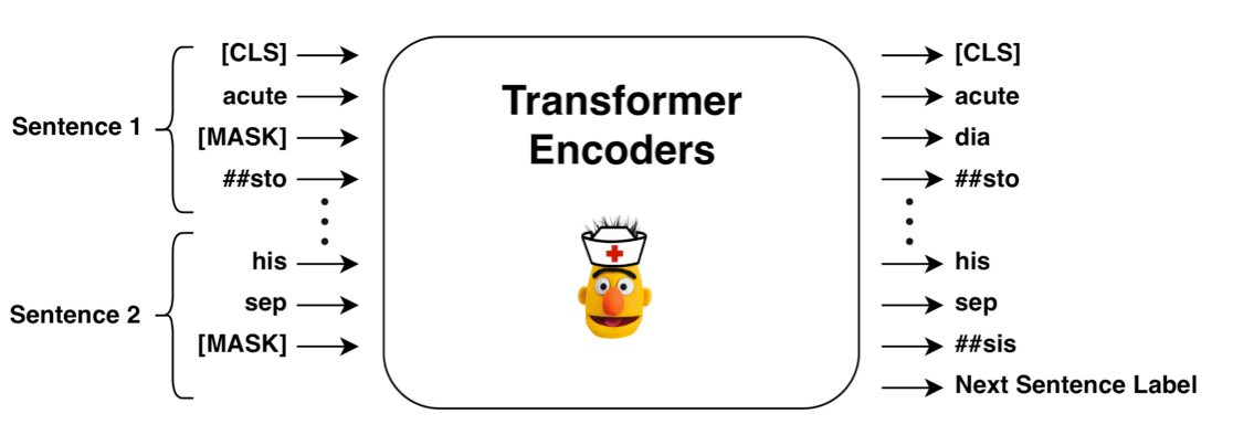 ClinicalBERT: Using a Deep Learning Transformer Model to Predict ...
