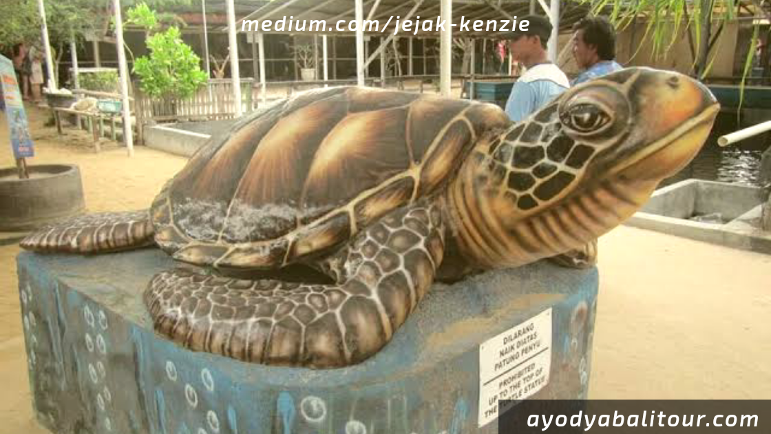 Tanjung Benoa Bali — Harga Tiket Masuk, Tarif Permainan ...