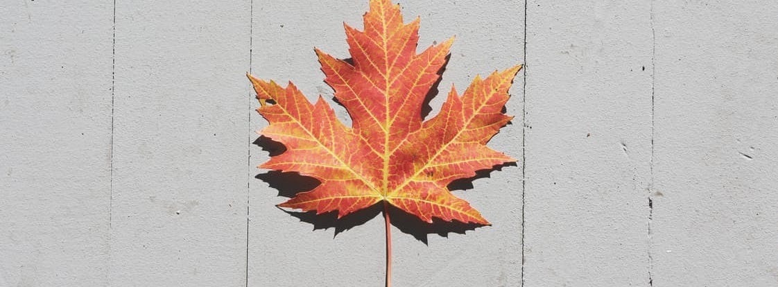 Version 1 3 6 equals how many Version 1 3 6 equals how many