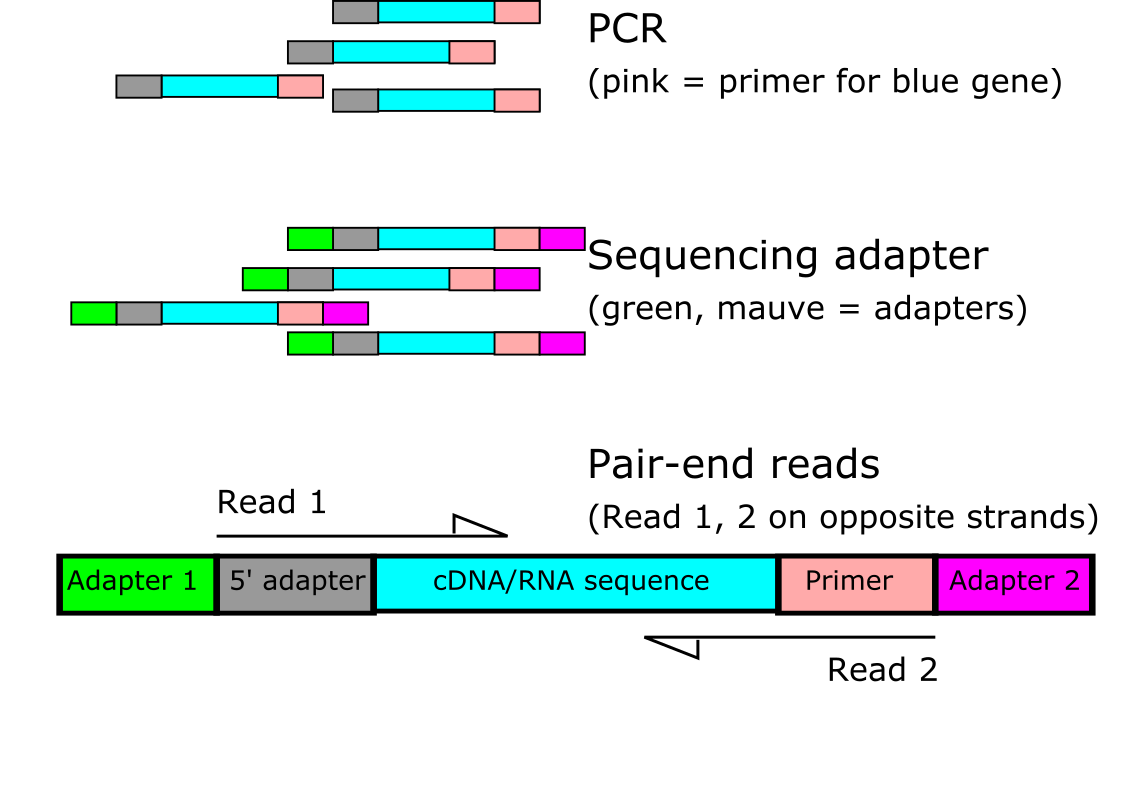 matlab for rna seq data how one duuude