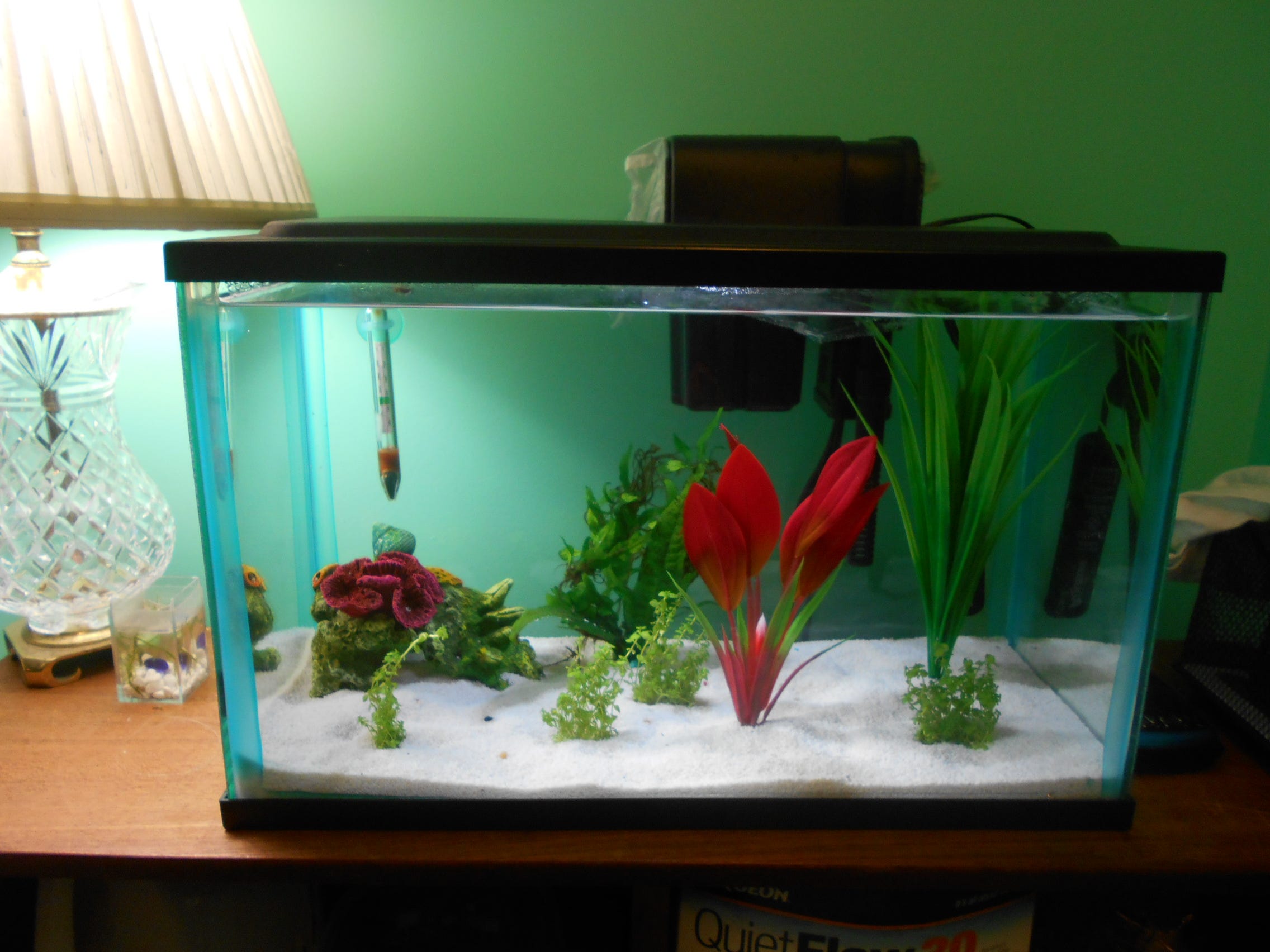 7700 Aquarium Design Guidelines HD