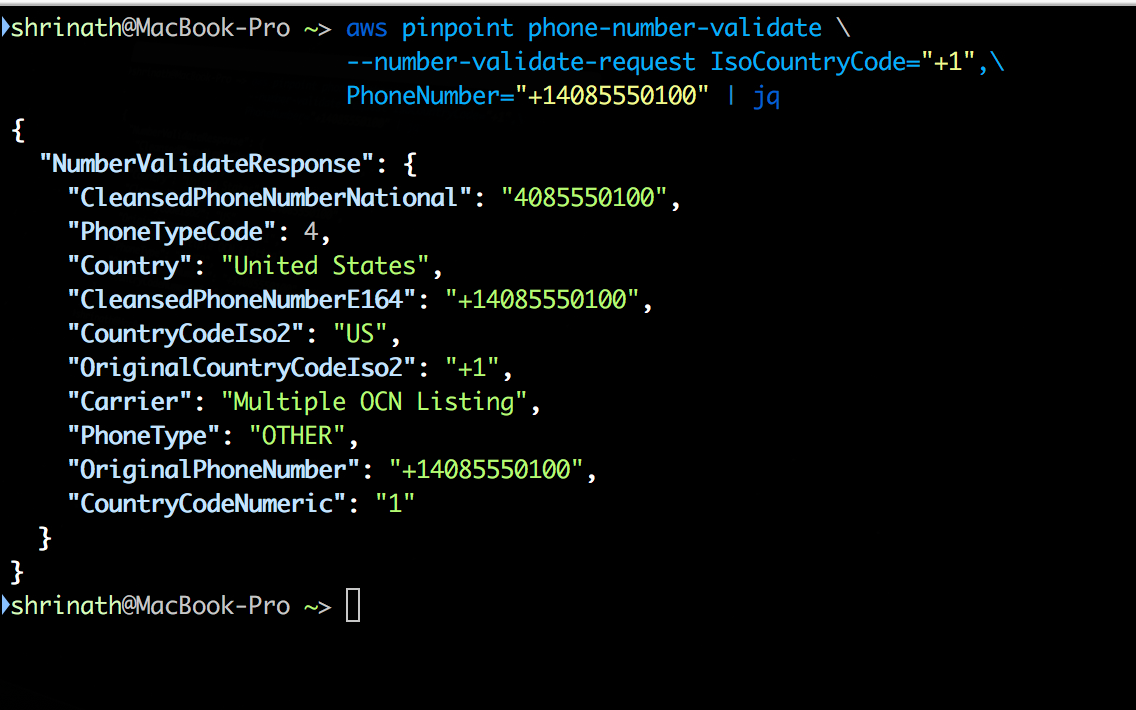 Building Phone Number Validation System With Aws Pinpoint