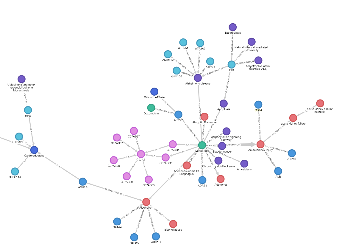 How Knowledge Graphs Will Transform Data Management And Business | by ...