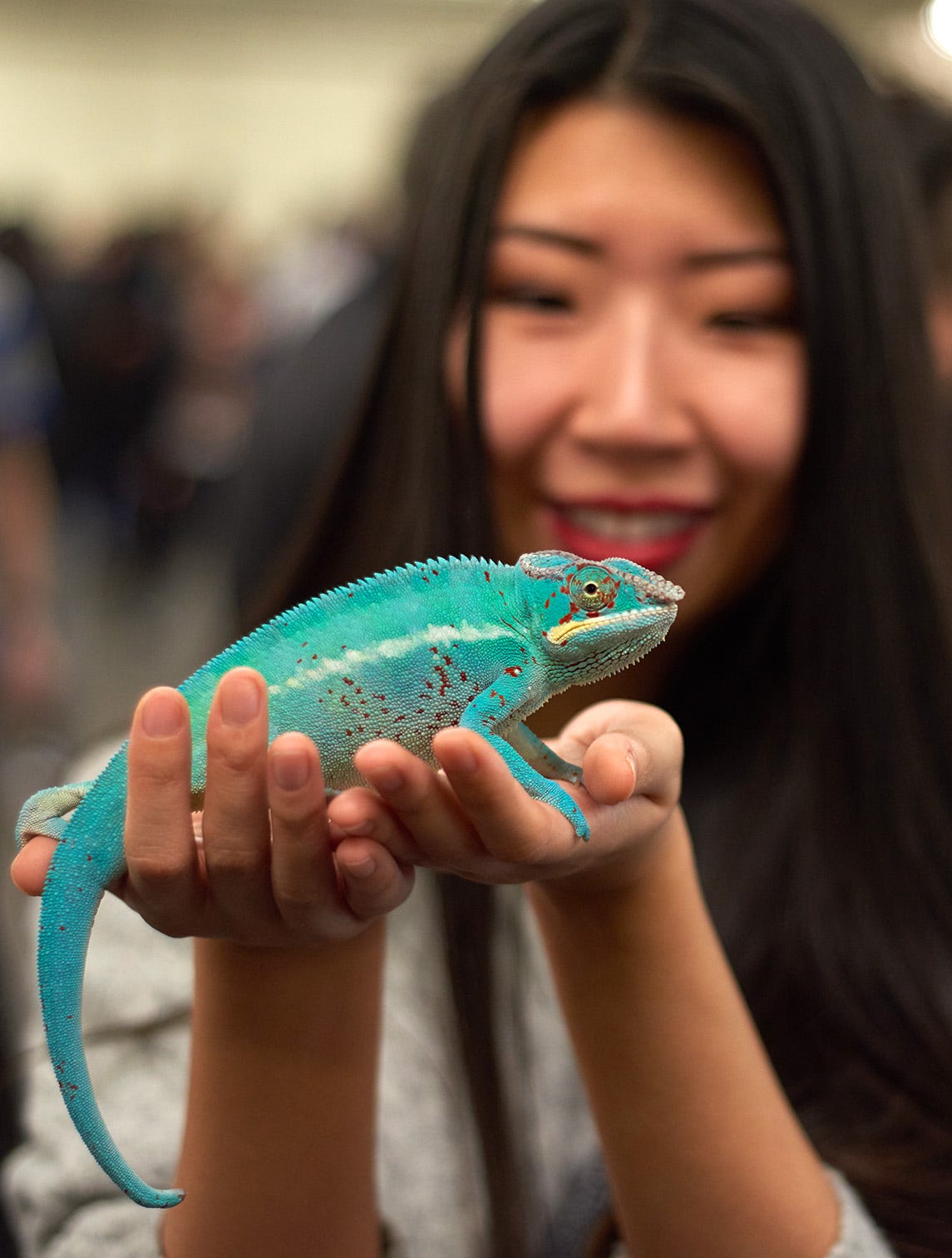 Skinks Snakes And Scorpions Check Out The Coolest Critters We Encountered At The Reptile Nation Expo By The Six Fifty Staff The Six Fifty