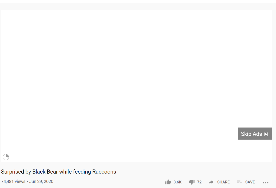 Reddit
