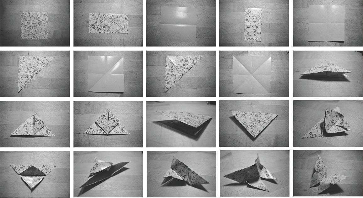 Origami Butterfly How To Elizabeth Wang Medium