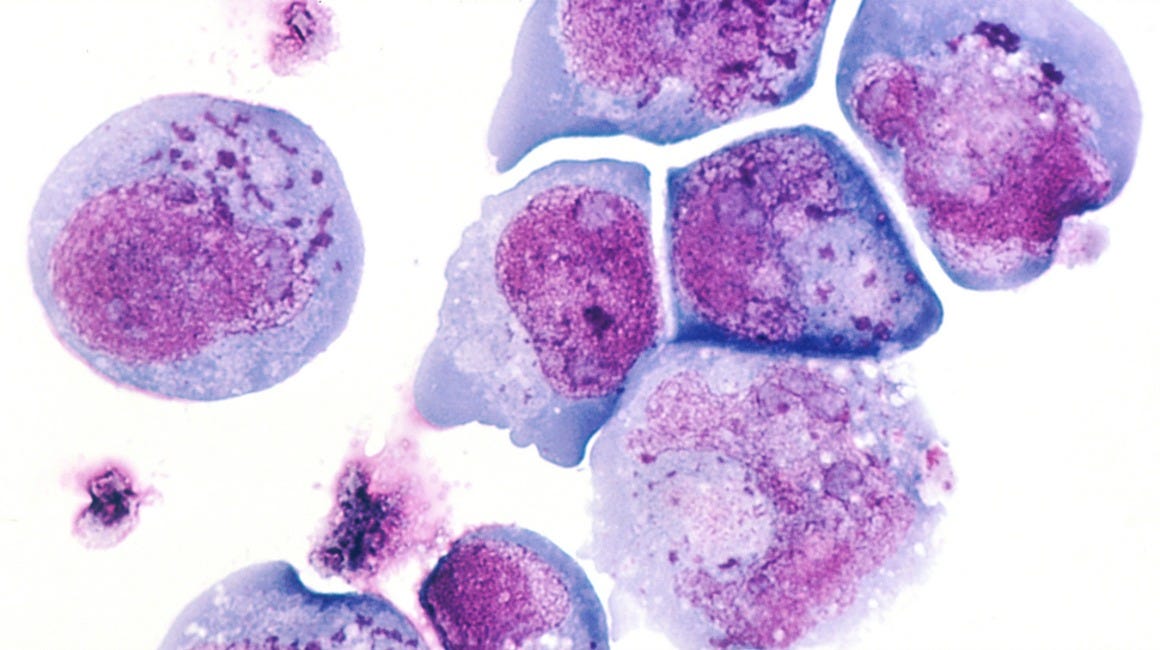 Living With Herpes In Nine Vignettes The Establishment Medium