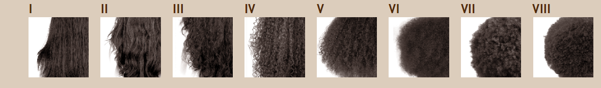 Diversity Of Hair Types To Characterize The Diversity Of Hair By Beauty Tomorrow Medium Diversity Of Hair Types To Characterize The Diversity Of Hair By Beauty Tomorrow Medium