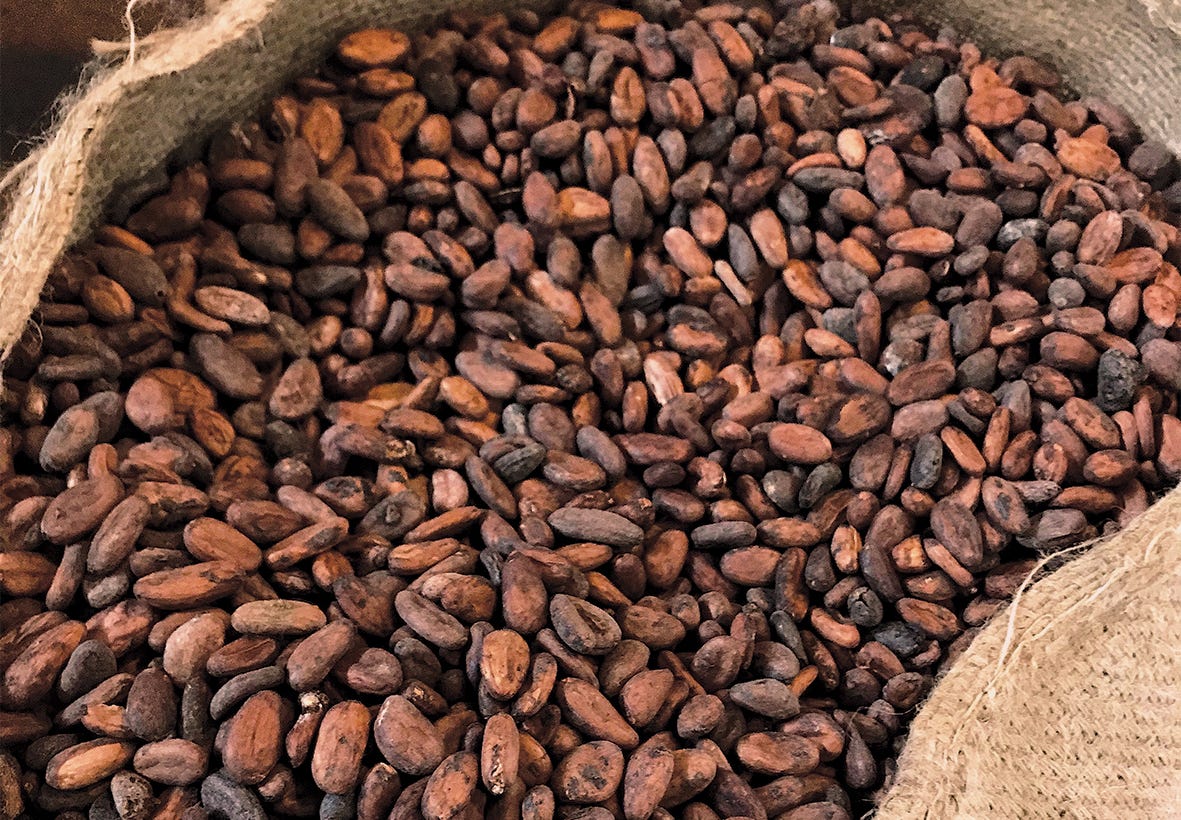 The healthcare benefits of dark chocolate