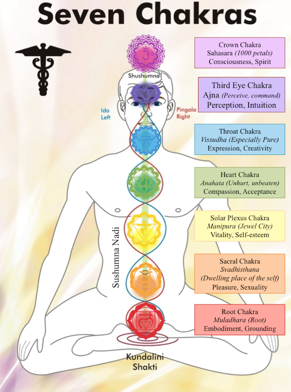 Understanding Hinduism: The Basics | by Sanskriti Deva | COSY | Jul ...