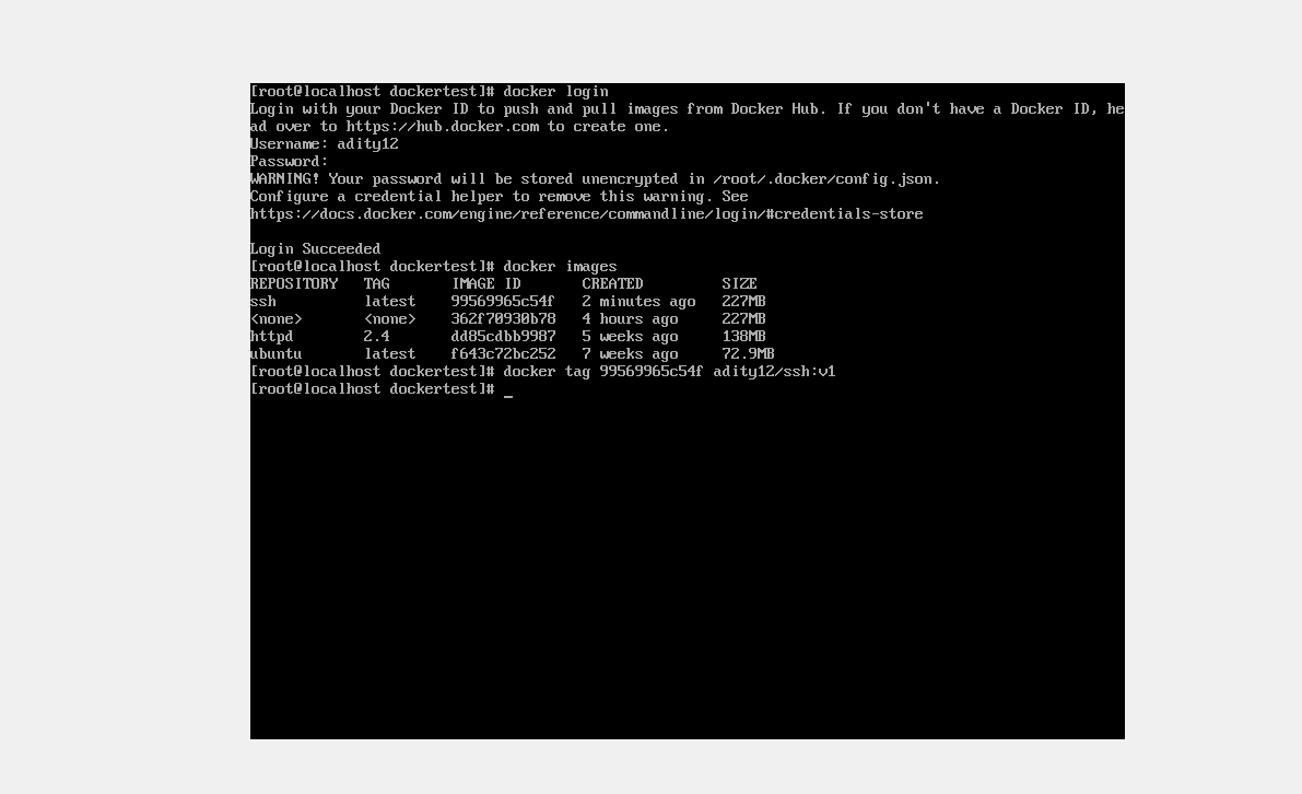 Ssh v1 vulnerabilities