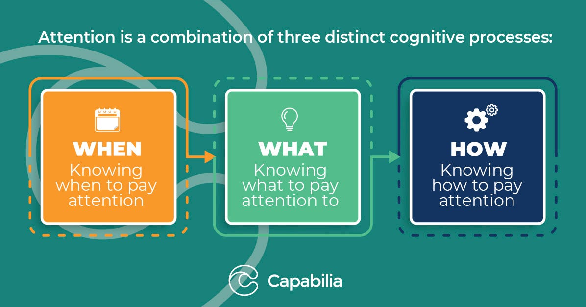 How We Learn The Four Pillars of Learning by Capabilia Medium