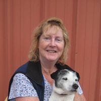 People following Wendy Davis