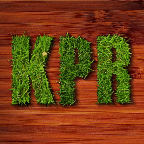 People following Kelly Rupp