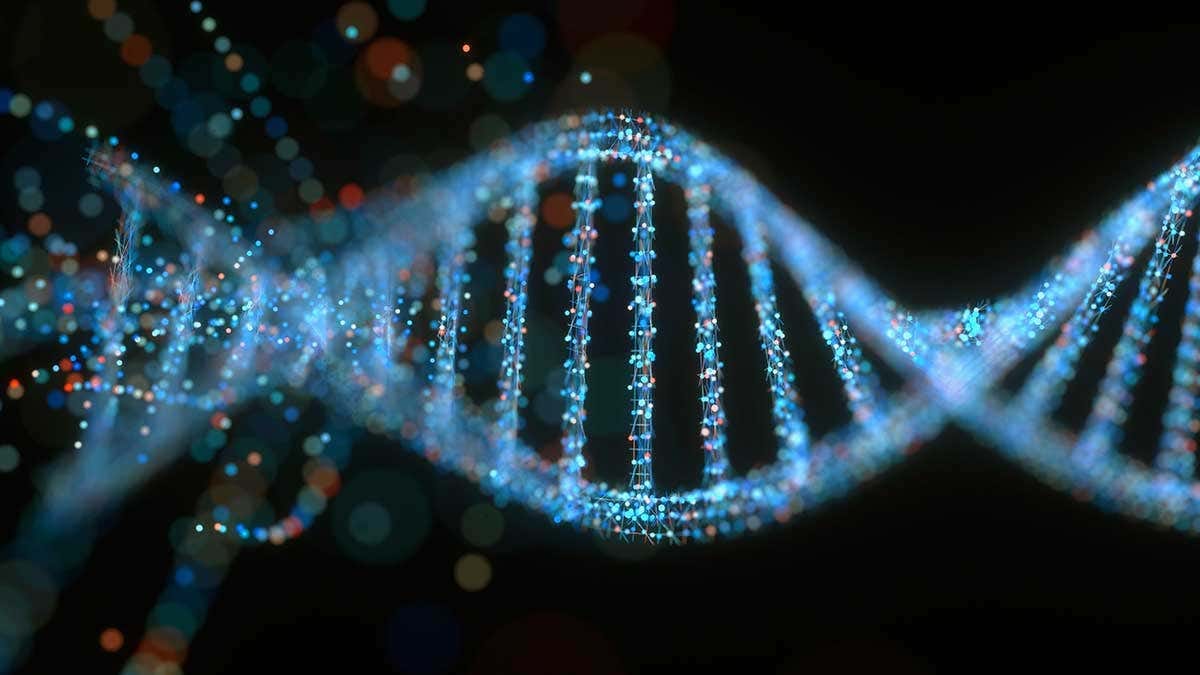 The Future of Data Storage is in your DNA