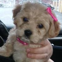 Karen Anna – Medium