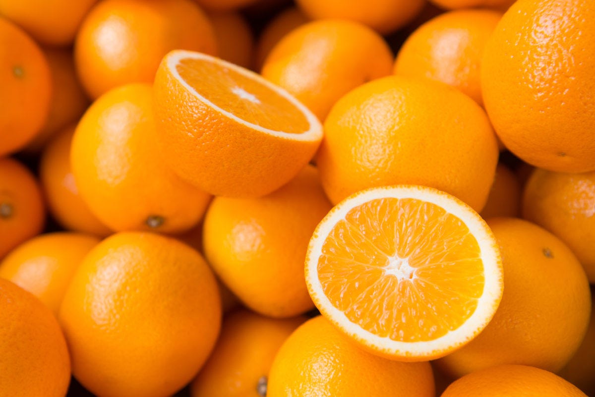 Diy Flea Tick Repellant With Wild Orange Essential Oil By Jennifer Lee Medium