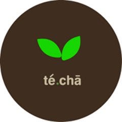 WHAT DOES TECHA MEAN visual data 2