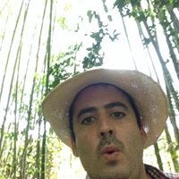 Johnny Bamboo – Medium