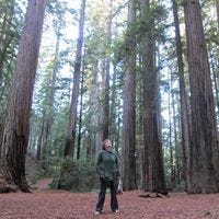 Kate Clark – Medium