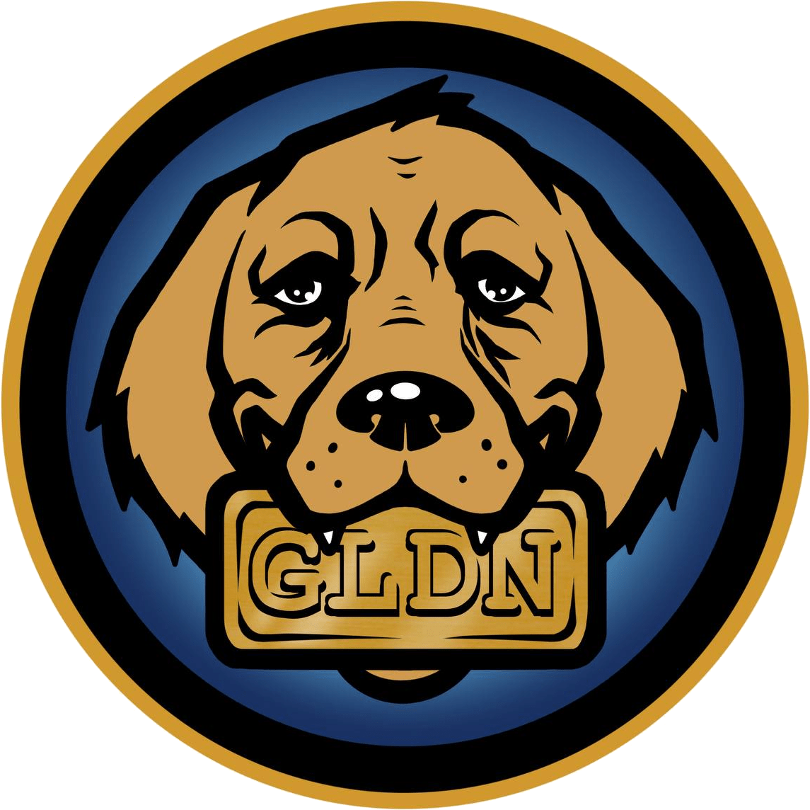 About Gold Retriever Medium About gold retriever medium