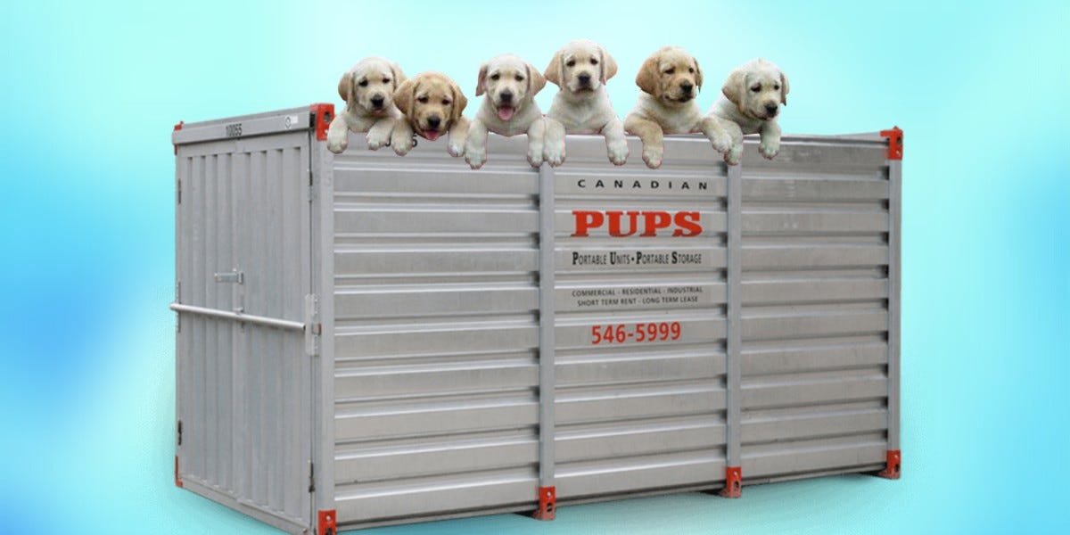 Logistics Word Of The Day Pup We All Love Puppies Very Few Animals By Quickload Medium Logistics Word Of The Day Pup We All Love Puppies Very Few Animals By Quickload Medium