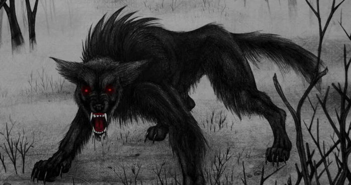 Black Shuck: The Phantom Dog - Yamuna Hrodvitnir - Medium