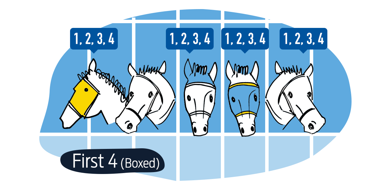 How to place a multi bet on sportsbet money How to place a multi bet on sportsbet money