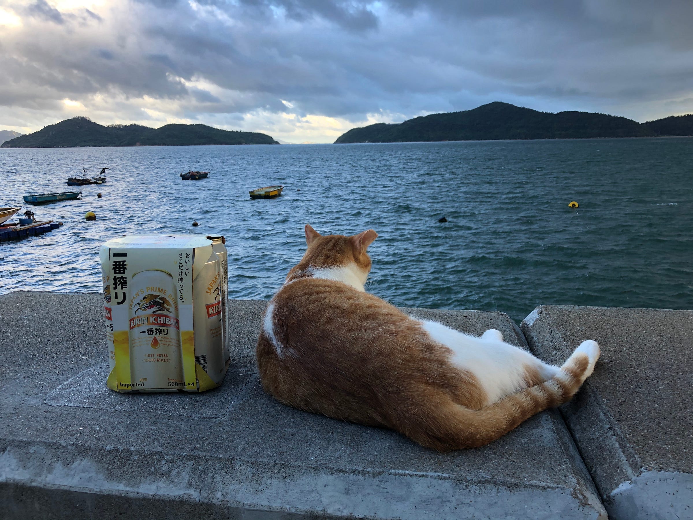南灣水巷生 Medium