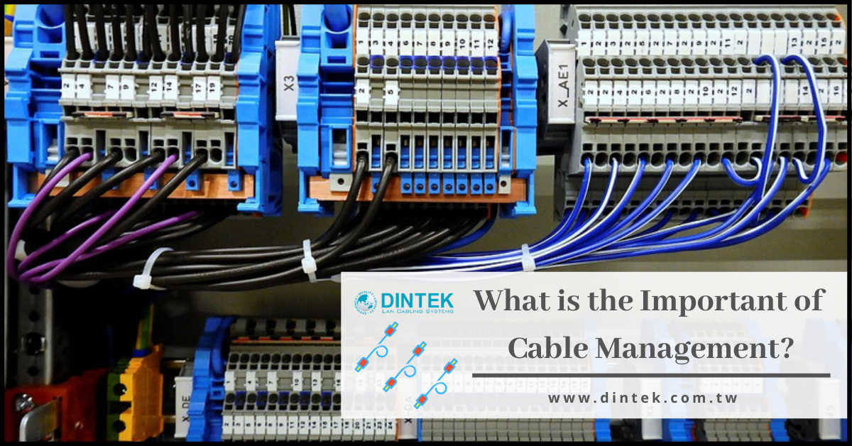 What is the Important of Cable Management? by DINTEK Electronic