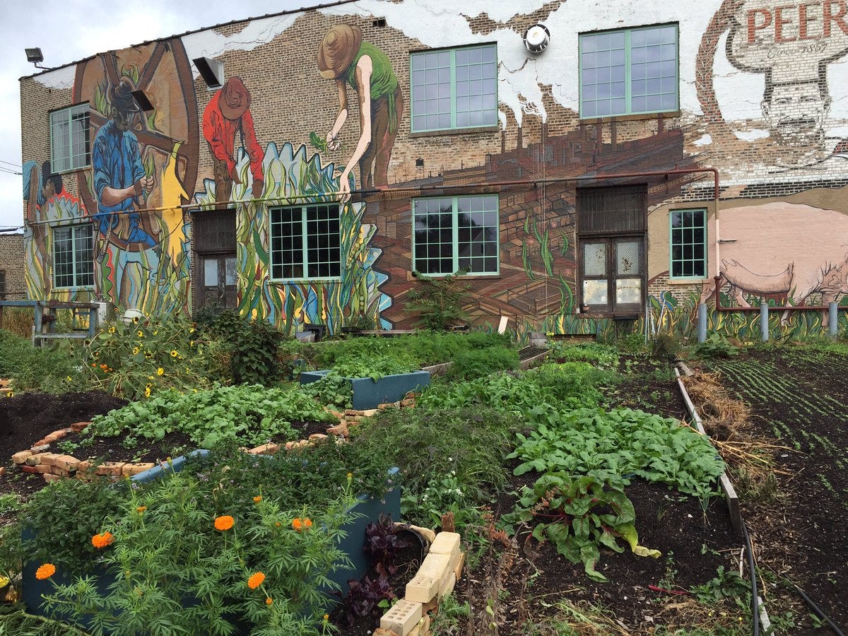 Community Gardens And Farmer S Markets Are First Step In Food