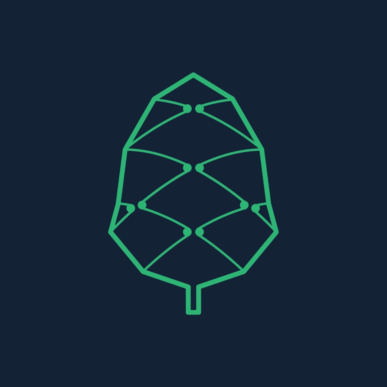 Pine Protocol – Medium