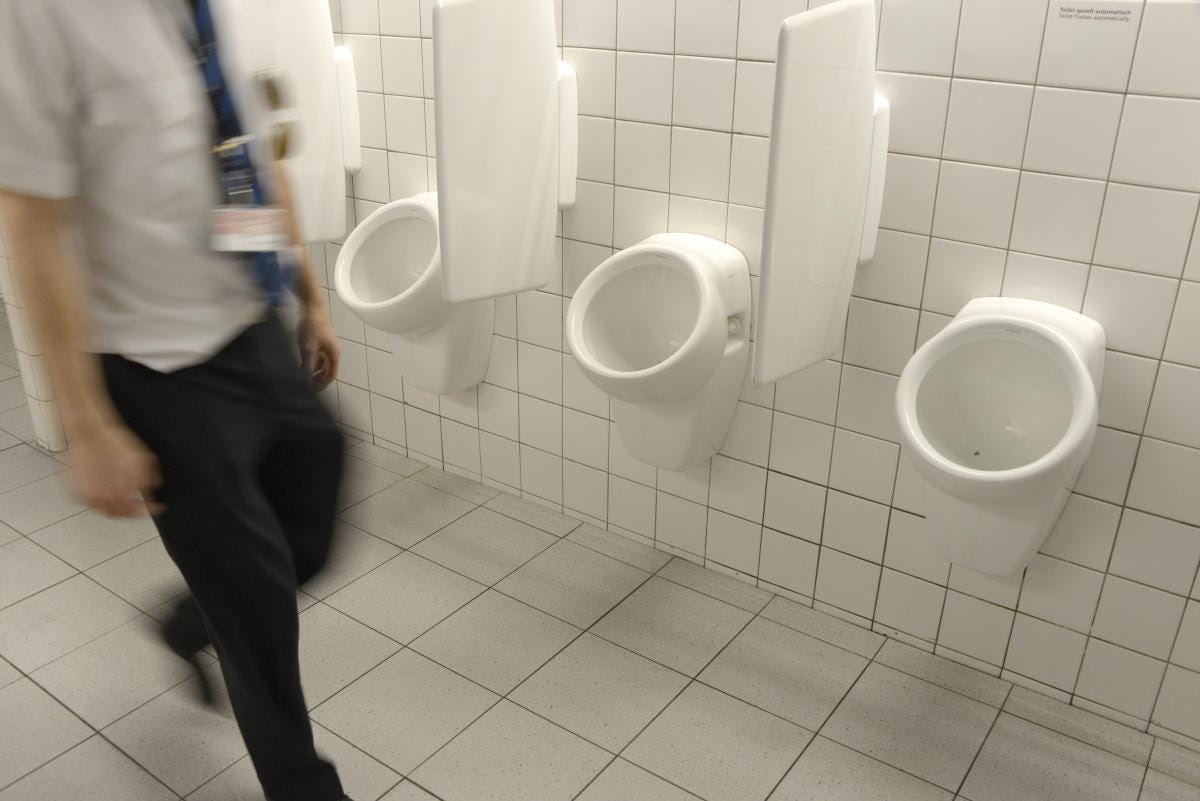 阿姆斯特丹机场的苍蝇便池 The Urinal Fly At Amsterdam Airport