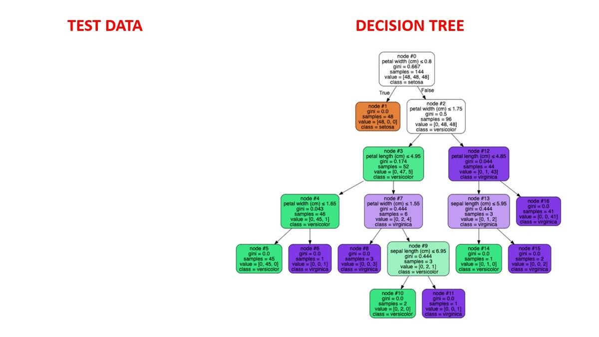 Decision Tree Visualisation — Quick ML Tutorial for Beginners