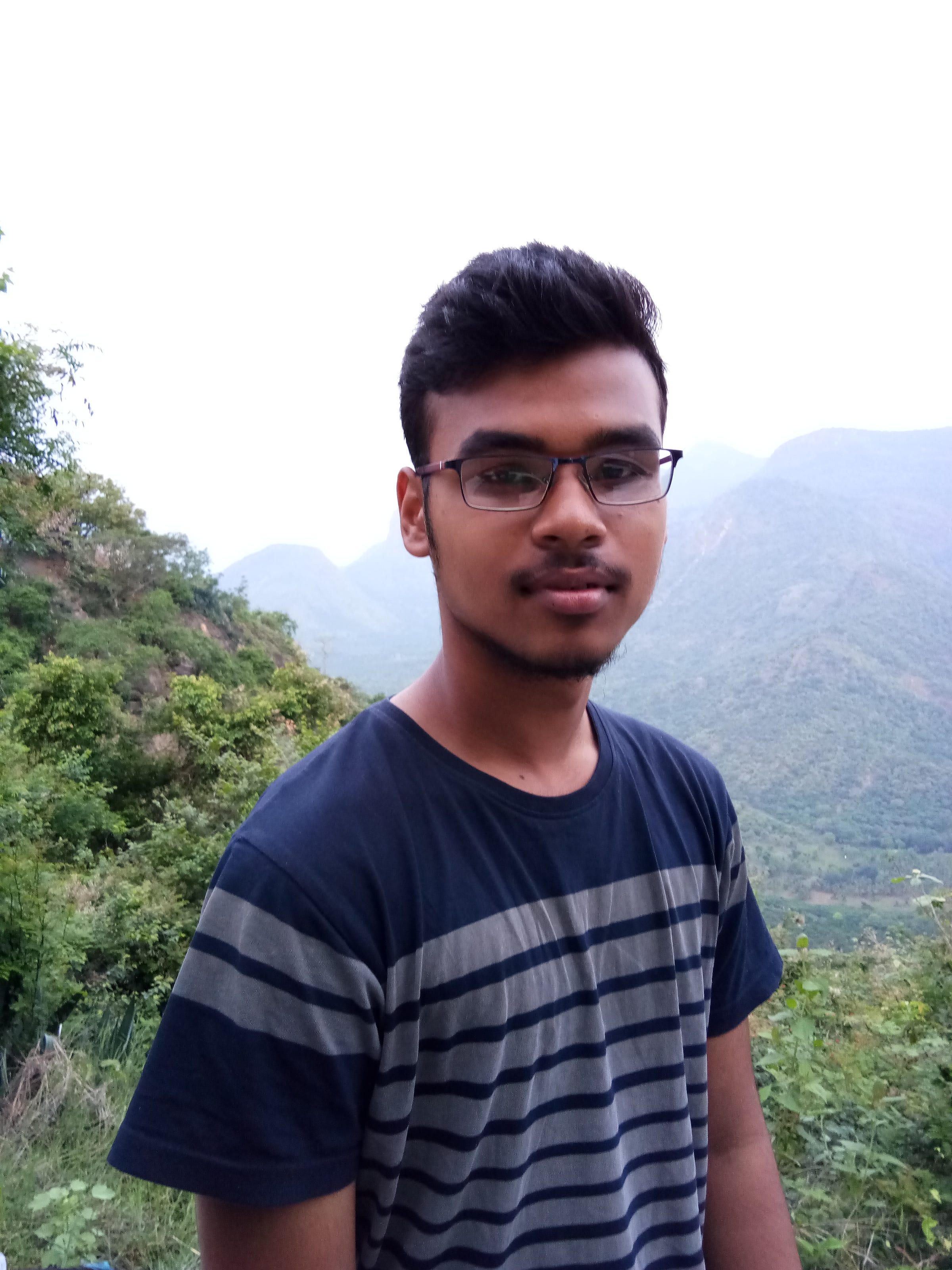 Akash Panda Medium Akash panda medium