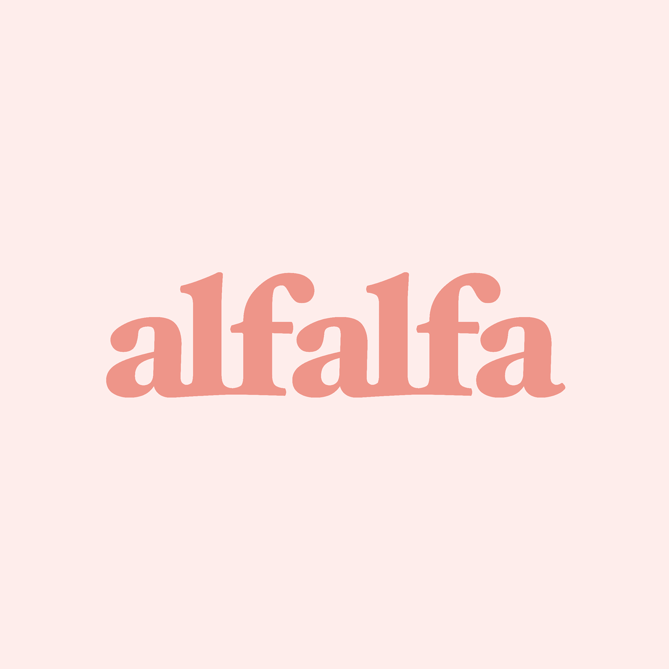 Alfalfa Medium
