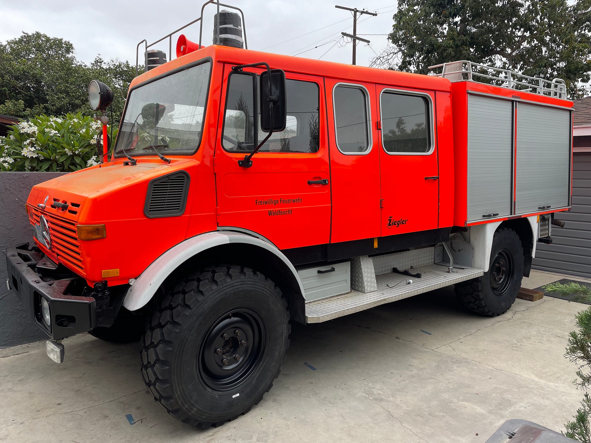 Mogs And Dogs Medium