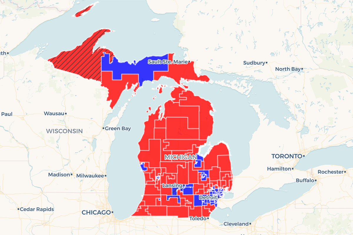 Vision — Michigan Democracy — 2020 Marshall Clabeaux Medium