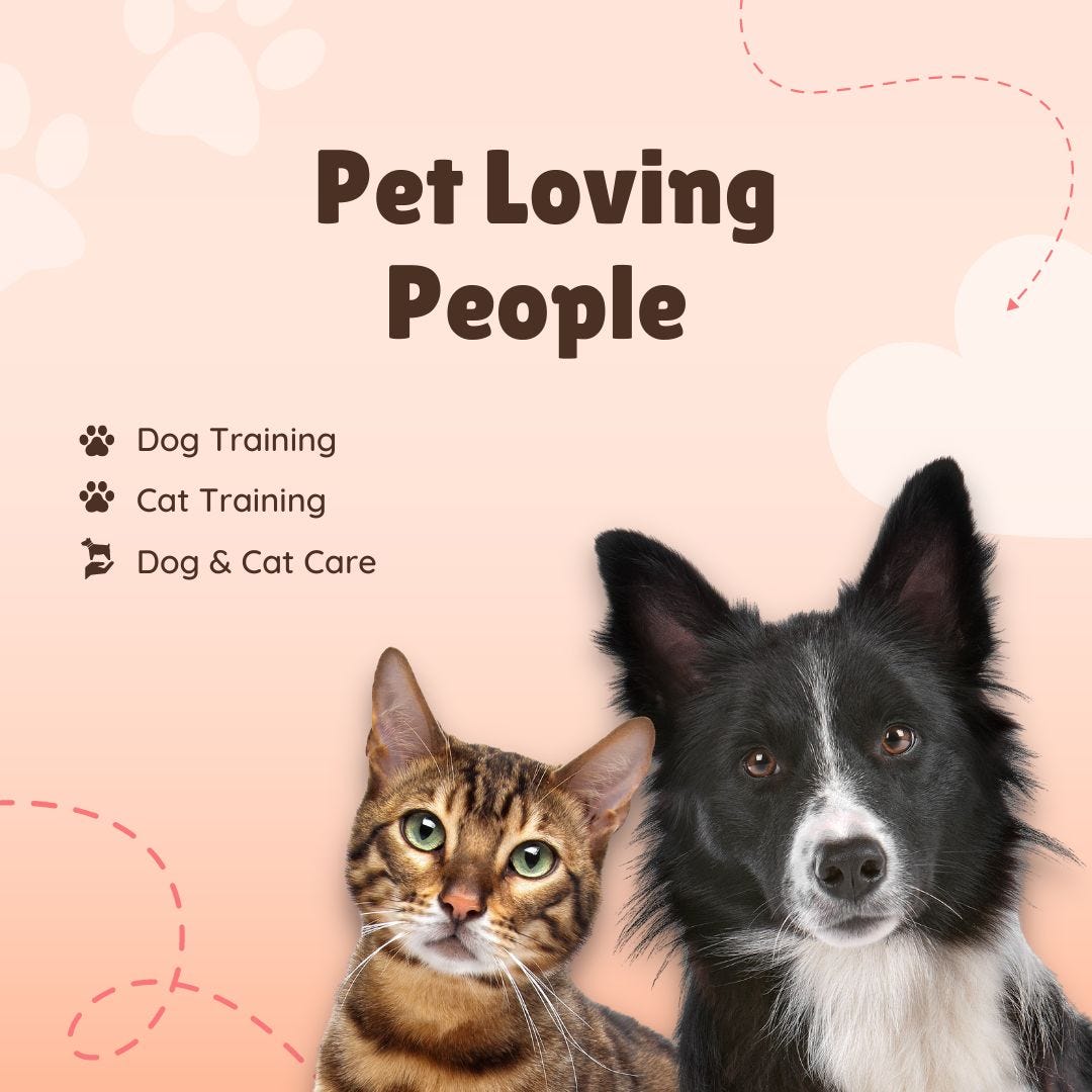 HowtoTrainyourPet Medium