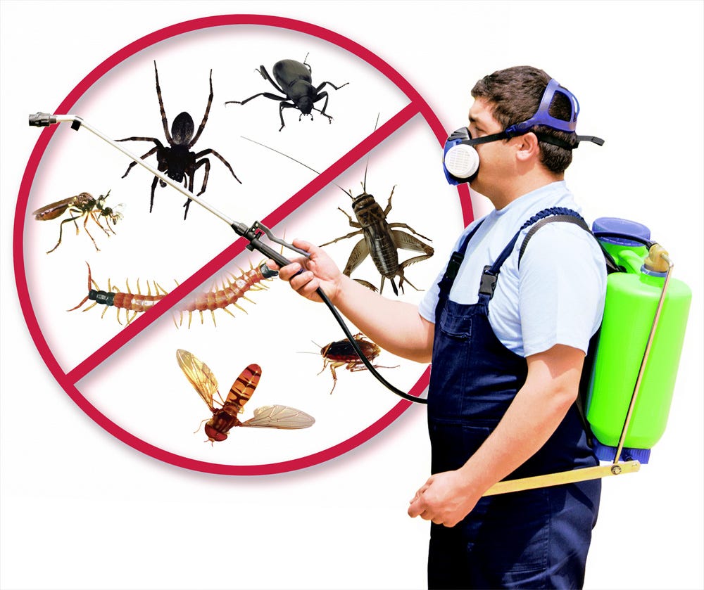 Pest Control Partners - Medium.