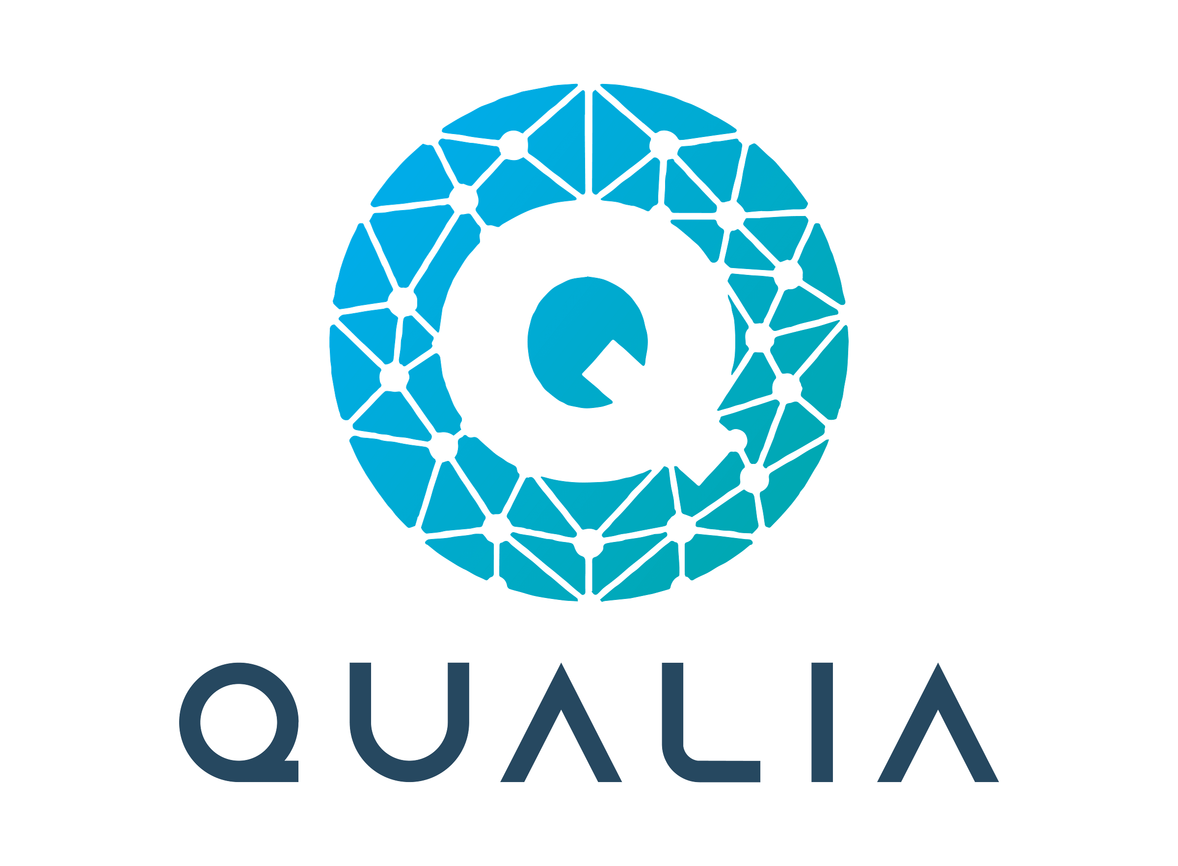 Qualia Medium